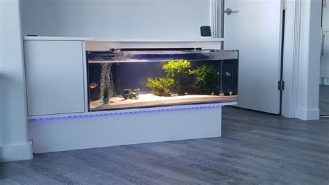 An Easy Guide to Building Your Next Fish Tank .